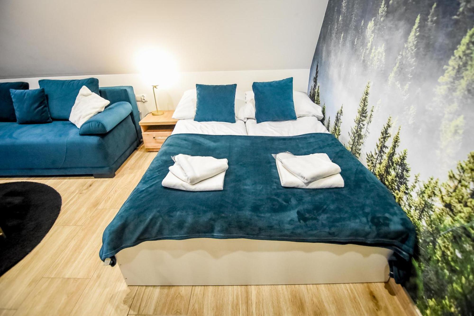 Mrozowka Apartment Poronin